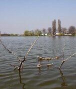 Lacul Suatu Lacul Suatu