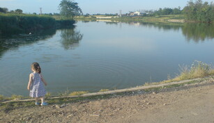 Balta Bun Noroc Salciile