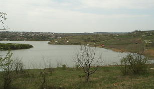 Balta Catalui-Cascioarele