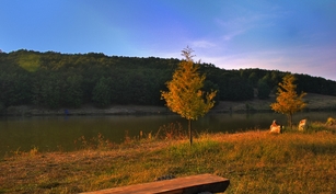 Balta Colt de Rai Balta Colt de Rai