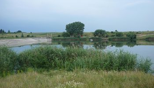 Balta Facau