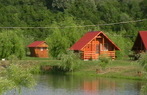 Balta Flamina