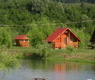 Balta Flamina