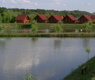 Balta Flamina