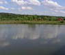 Balta Flamina