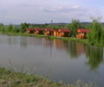 Balta Flamina
