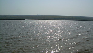 Balta Hanesti