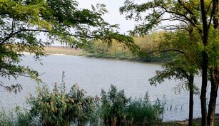 Balta La motor-Pavelescu