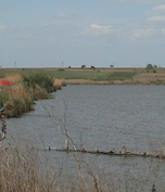 Balta Lozova
