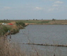 Balta Lozova