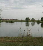 Balta lui Risco