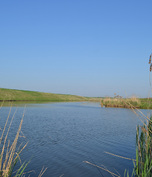 Balta Matara 2 Balta Matara 2