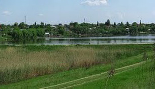 Balta Moara Vlasiei 2