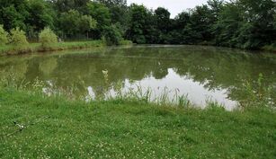 Balta Otvesti 1 si 2