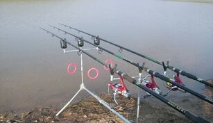 Balta Padureni-Ciurila