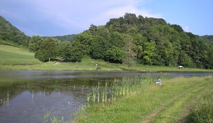 Balta Poligon Dumbraveni