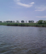 Balta Sapunari
