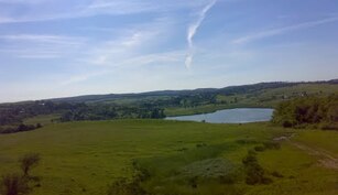 Balta Suharau