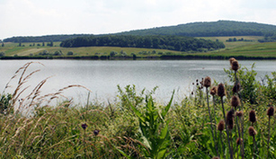 Balta Valea Ciorii