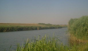 Balta Valter Maracineanu