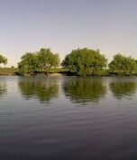 Balta Vlasin Balta Vlasin