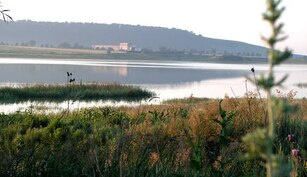 Lacul Lipoveni