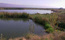 Balta Cleja