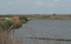 Balta Lozova