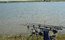 Balta Tocile 4