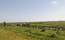 Lac Sat Costi